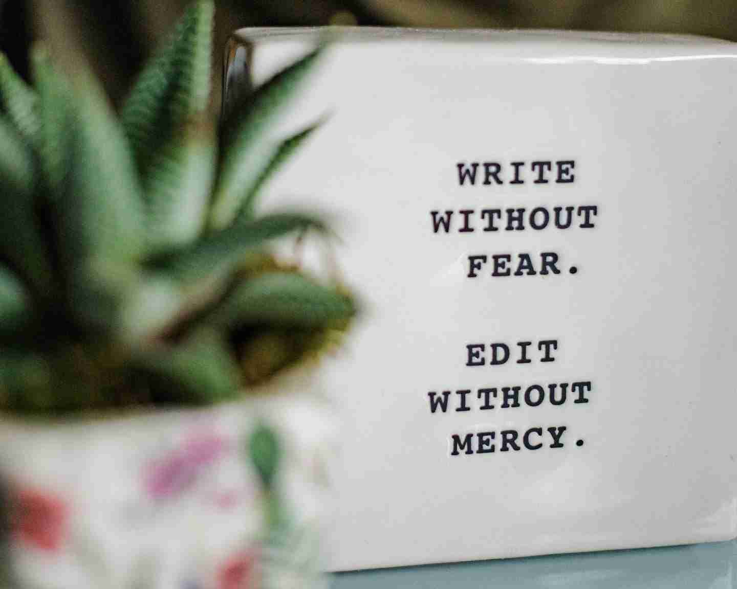 A block saying "Write Without Fear. Edit Without Mercy.", with a small house plant to the left of it.
