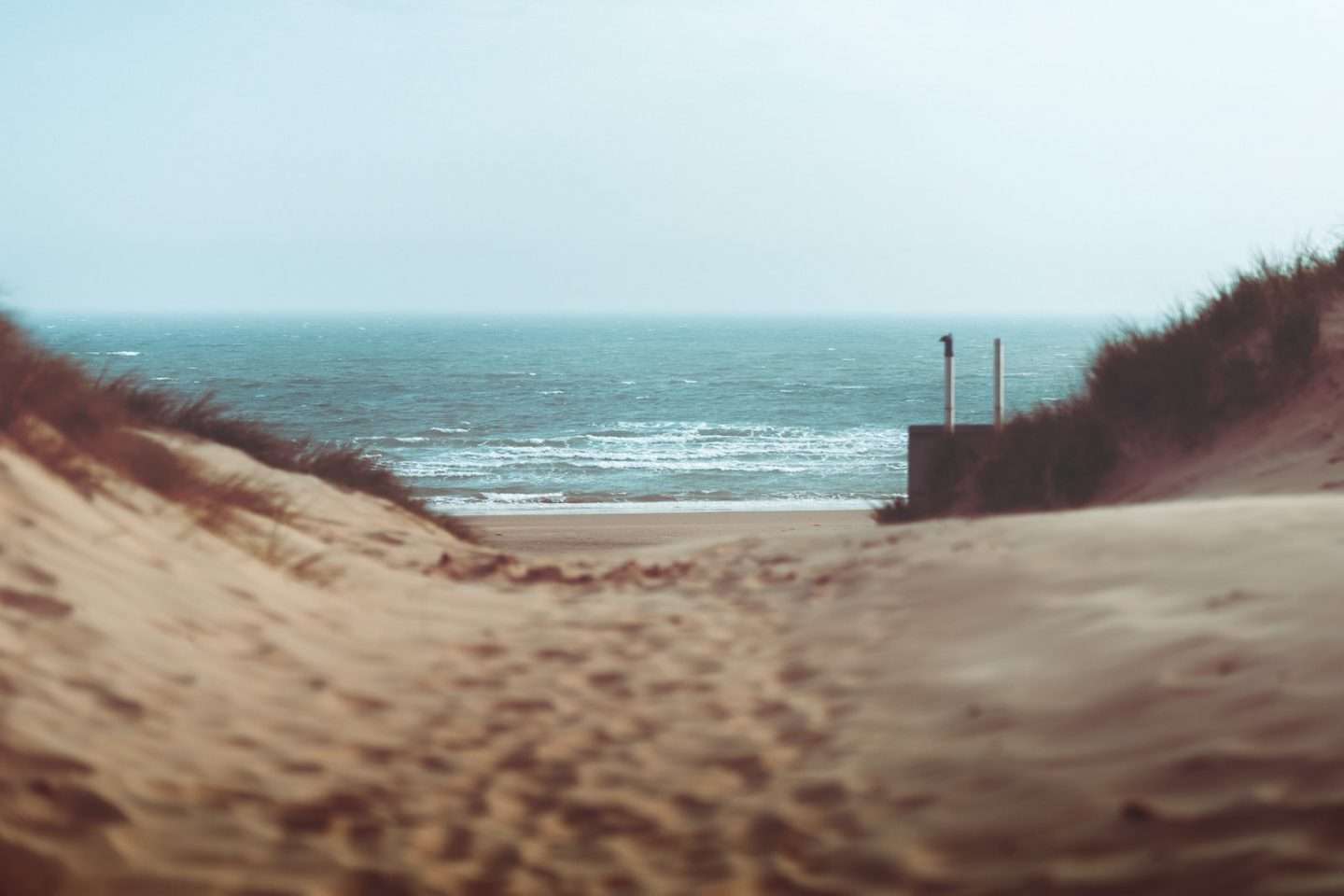 shallow focus photography of brown sand and sea