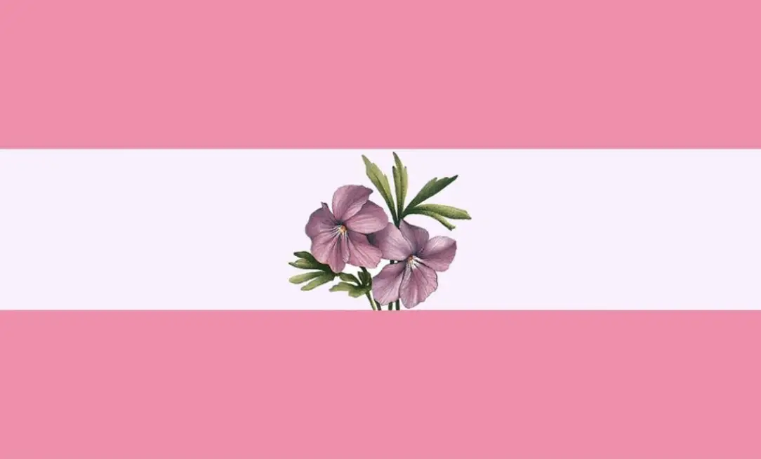 The Sapphic Flag - what does sapphic mean?