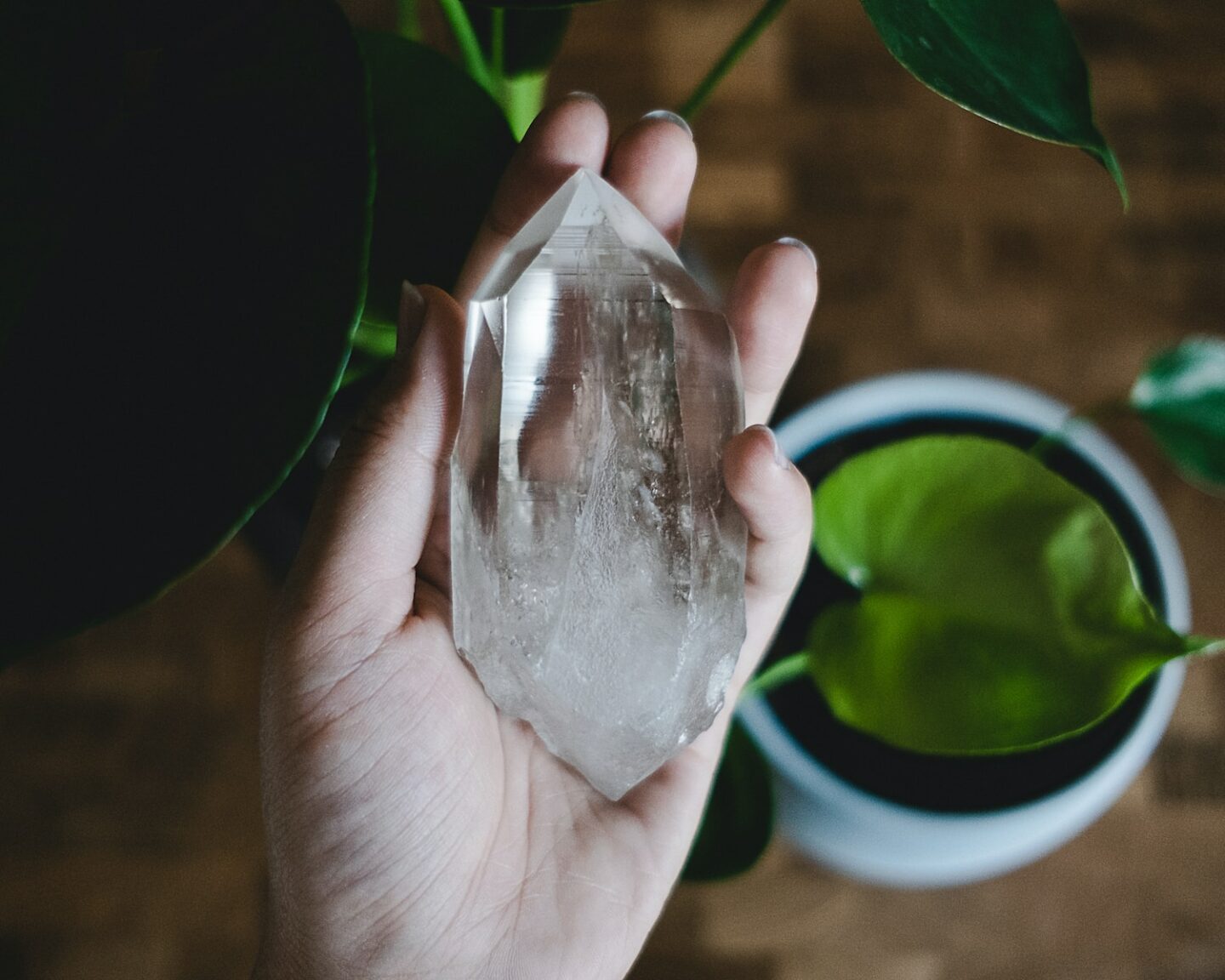 a person holding a piece of crystal of protection next to a potted plant