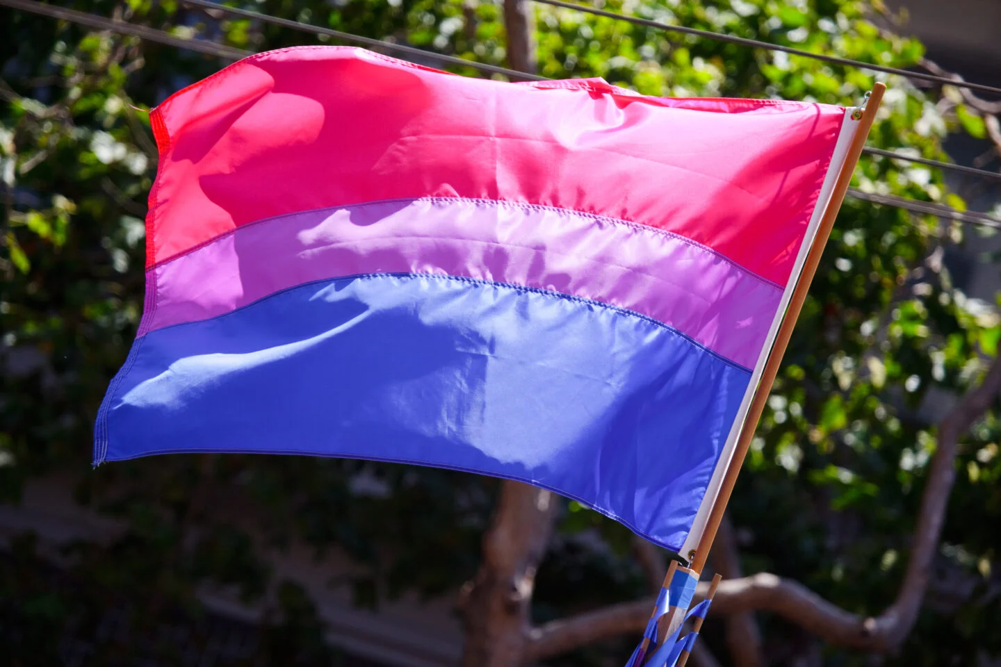 A bisexual pride flag
